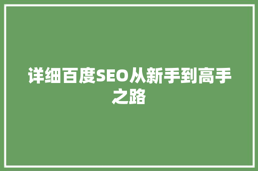 详细百度SEO从新手到高手之路 百度SEO