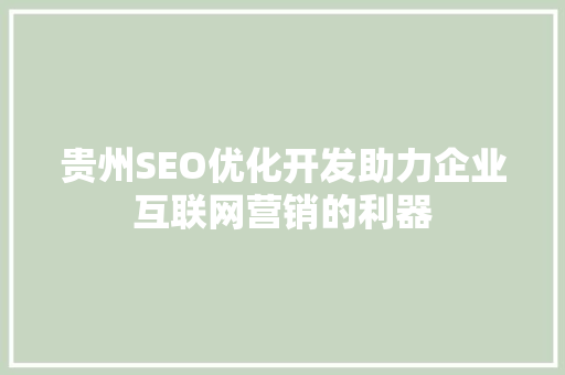 贵州SEO优化开发助力企业互联网营销的利器 GoogleSEO