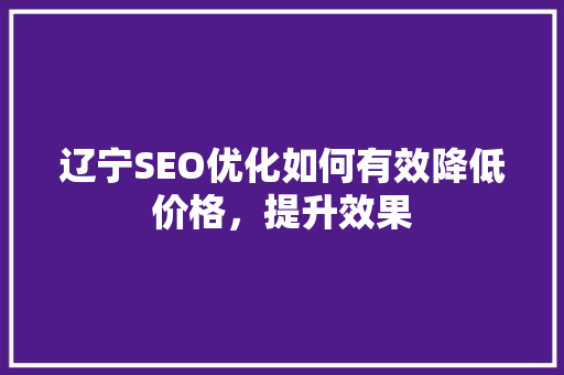 辽宁SEO优化如何有效降低价格，提升效果