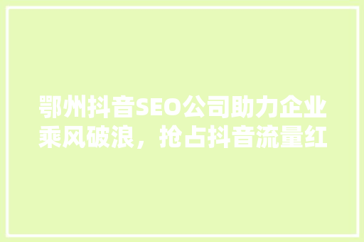 鄂州抖音SEO公司助力企业乘风破浪，抢占抖音流量红利 百度SEO