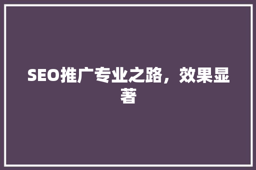 SEO推广专业之路，效果显著 GoogleSEO