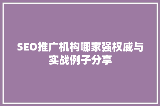 SEO推广机构哪家强权威与实战例子分享 必应SEO