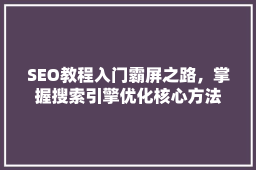 SEO教程入门霸屏之路，掌握搜索引擎优化核心方法 GoogleSEO