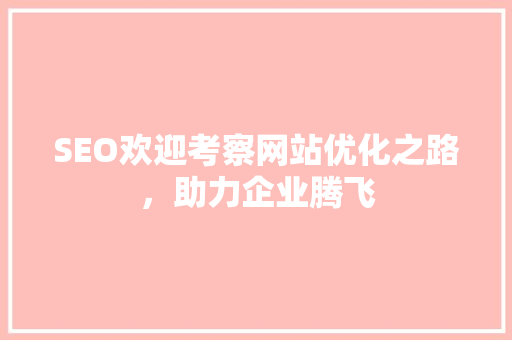SEO欢迎考察网站优化之路，助力企业腾飞 百度SEO