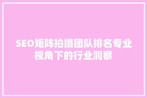 SEO矩阵拍摄团队排名专业视角下的行业洞察 必应SEO
