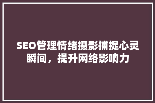 SEO管理情绪摄影捕捉心灵瞬间，提升网络影响力 百度SEO