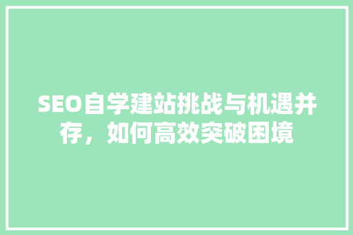 SEO自学建站挑战与机遇并存，如何高效突破困境