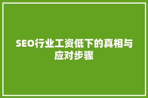 SEO行业工资低下的真相与应对步骤 搜狗SEO
