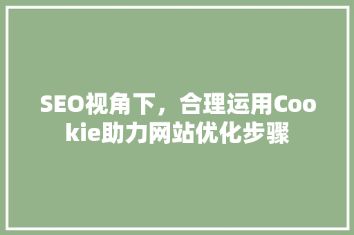 SEO视角下，合理运用Cookie助力网站优化步骤 百度SEO