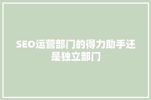 SEO运营部门的得力助手还是独立部门 必应SEO