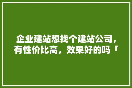 企业建站想找个建站公司，有性价比高，效果好的吗「为什么不找建站公司的人」 企业建站想找个建站公司，有性价比高，效果好的吗「为什么不找建站公司的人」 神马SEO