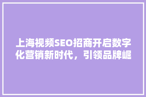 上海视频SEO招商开启数字化营销新时代，引领品牌崛起 百度SEO