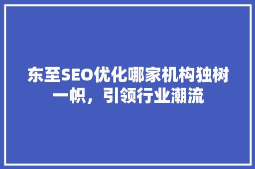 东至SEO优化哪家机构独树一帜，引领行业潮流 百度SEO