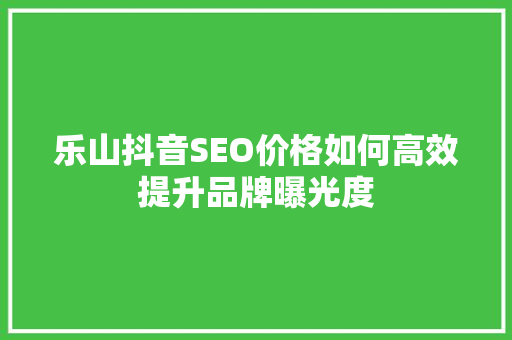 乐山抖音SEO价格如何高效提升品牌曝光度 百度SEO