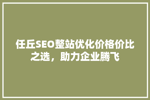 任丘SEO整站优化价格价比之选，助力企业腾飞 百度SEO