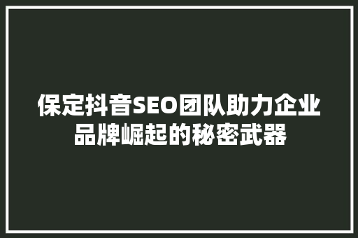 保定抖音SEO团队助力企业品牌崛起的秘密武器 必应SEO