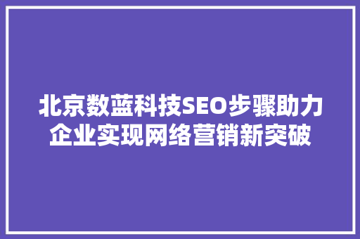北京数蓝科技SEO步骤助力企业实现网络营销新突破 百度SEO