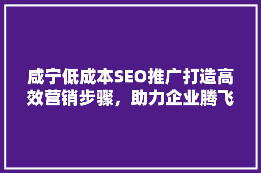 咸宁低成本SEO推广打造高效营销步骤，助力企业腾飞