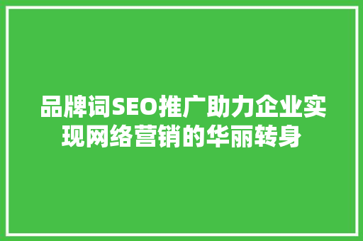 品牌词SEO推广助力企业实现网络营销的华丽转身 百度SEO
