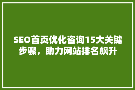 SEO首页优化咨询15大关键步骤，助力网站排名飙升 搜狗SEO