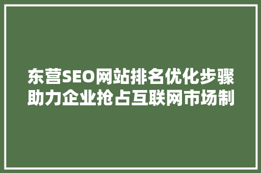 东营SEO网站排名优化步骤助力企业抢占互联网市场制高点 百度SEO