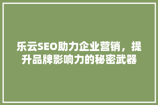 乐云SEO助力企业营销，提升品牌影响力的秘密武器 GoogleSEO
