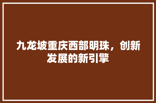 九龙坡重庆西部明珠，创新发展的新引擎 搜狗SEO