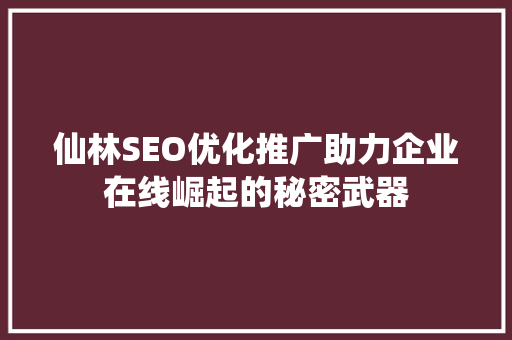 仙林SEO优化推广助力企业在线崛起的秘密武器
