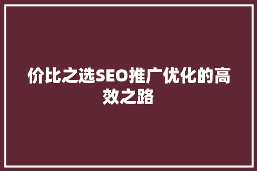 价比之选SEO推广优化的高效之路