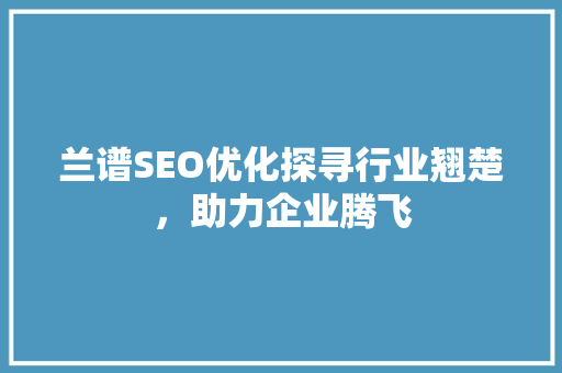 兰谱SEO优化探寻行业翘楚，助力企业腾飞 百度SEO