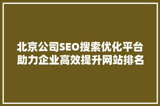北京公司SEO搜索优化平台助力企业高效提升网站排名与品牌知名度 搜狗SEO