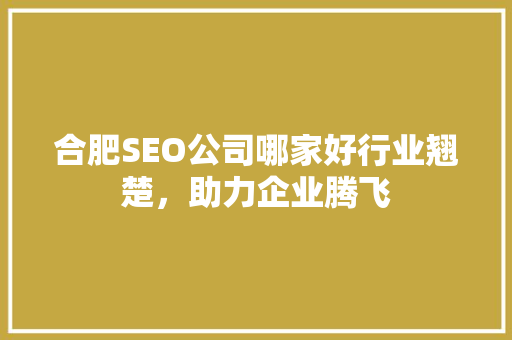 合肥SEO公司哪家好行业翘楚，助力企业腾飞 百度SEO