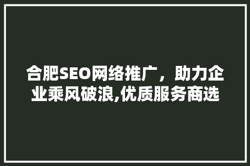 合肥SEO网络推广，助力企业乘风破浪,优质服务商选择之路 神马SEO