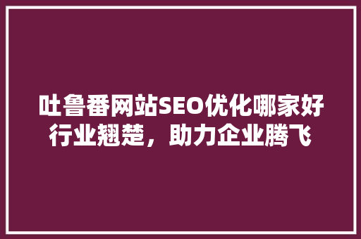 吐鲁番网站SEO优化哪家好行业翘楚，助力企业腾飞