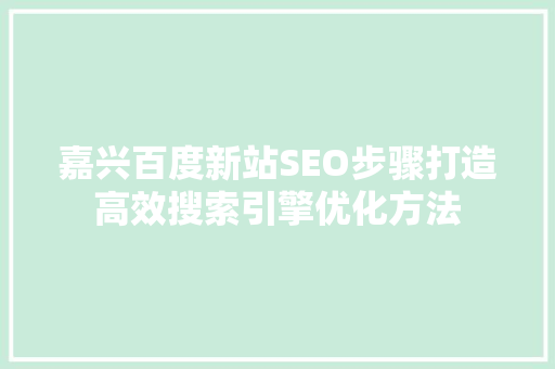 嘉兴百度新站SEO步骤打造高效搜索引擎优化方法