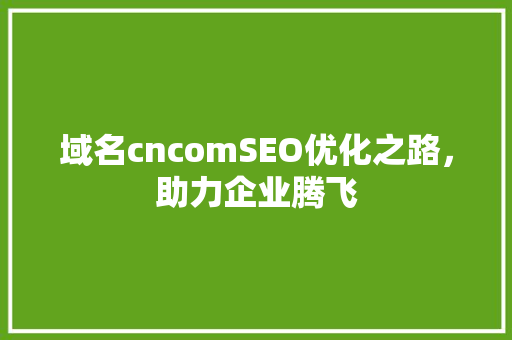 域名cncomSEO优化之路，助力企业腾飞