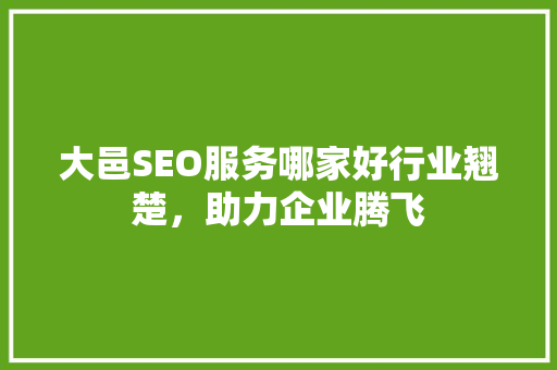 大邑SEO服务哪家好行业翘楚，助力企业腾飞