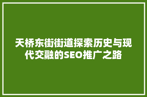 天桥东街街道探索历史与现代交融的SEO推广之路 必应SEO
