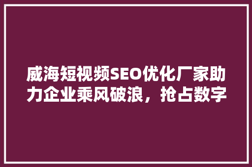 威海短视频SEO优化厂家助力企业乘风破浪，抢占数字营销高地 百度SEO
