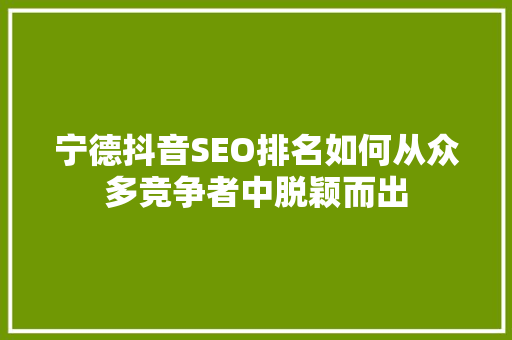 宁德抖音SEO排名如何从众多竞争者中脱颖而出 百度SEO