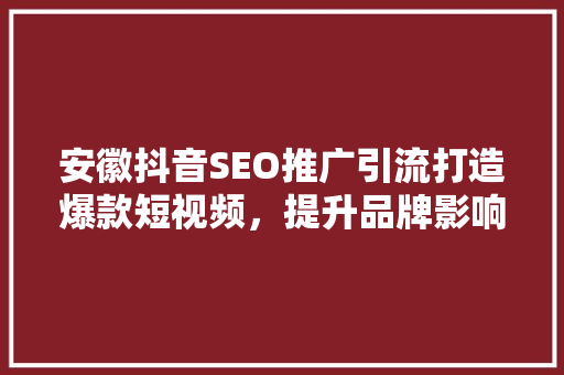 安徽抖音SEO推广引流打造爆款短视频，提升品牌影响力 GoogleSEO