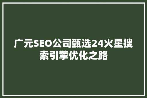 广元SEO公司甄选24火星搜索引擎优化之路 必应SEO