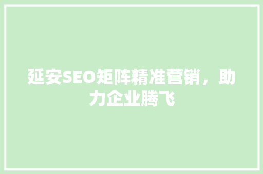 延安SEO矩阵精准营销，助力企业腾飞 百度SEO