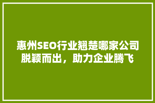 惠州SEO行业翘楚哪家公司脱颖而出，助力企业腾飞 神马SEO