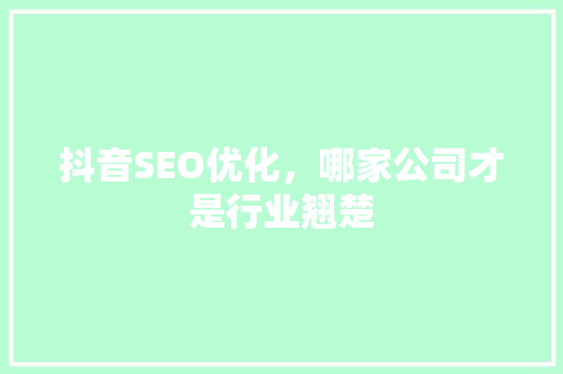 抖音SEO优化，哪家公司才是行业翘楚 神马SEO