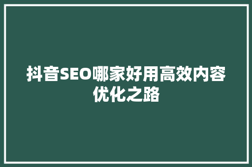 抖音SEO哪家好用高效内容优化之路 必应SEO