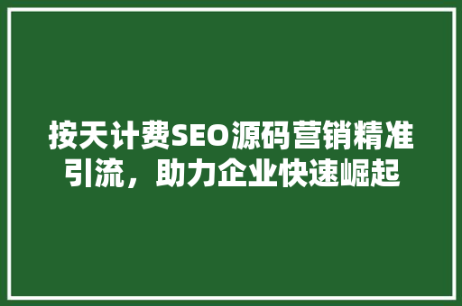 按天计费SEO源码营销精准引流，助力企业快速崛起 搜狗SEO