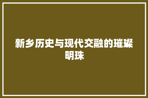 新乡历史与现代交融的璀璨明珠 必应SEO