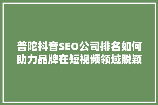 普陀抖音SEO公司排名如何助力品牌在短视频领域脱颖而出 神马SEO