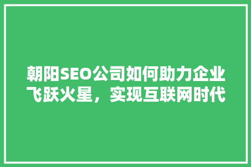 朝阳SEO公司如何助力企业飞跃火星，实现互联网时代新突破 百度SEO